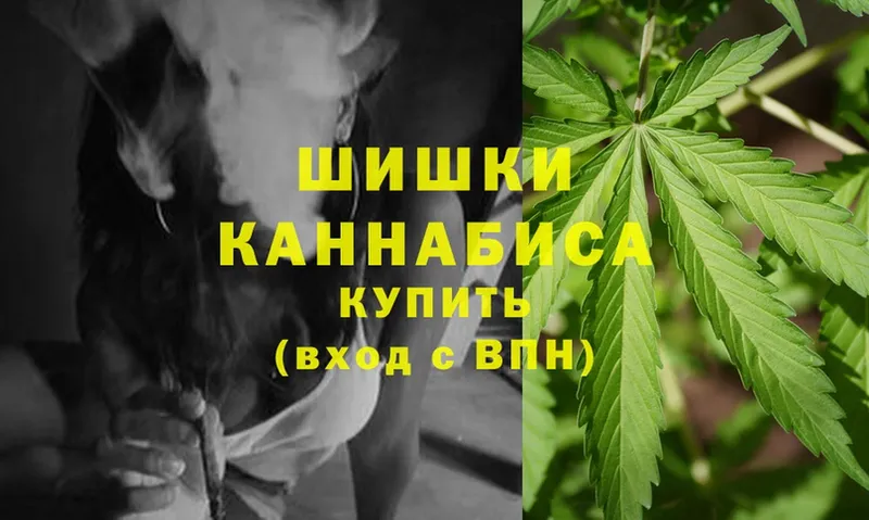 Бошки марихуана SATIVA & INDICA  купить наркотики сайты  Сокол 